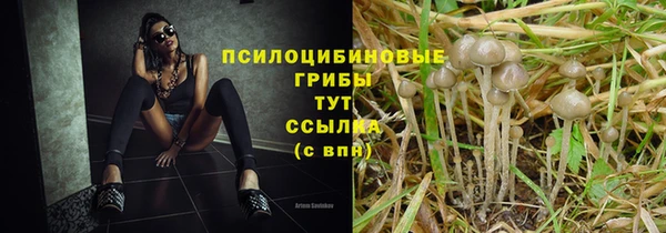 скорость Инта