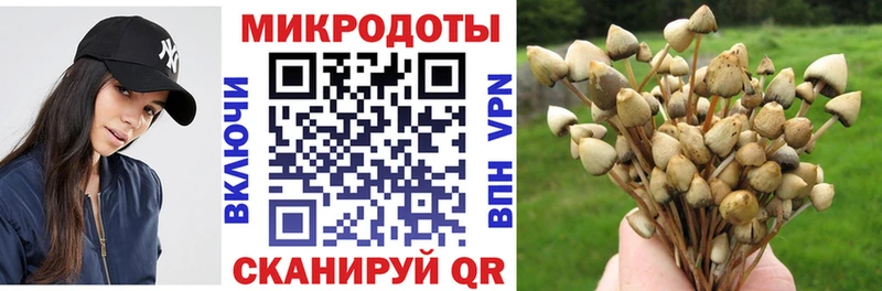 где найти наркотики Нефтекамск Галлюциногенные грибы мухоморы