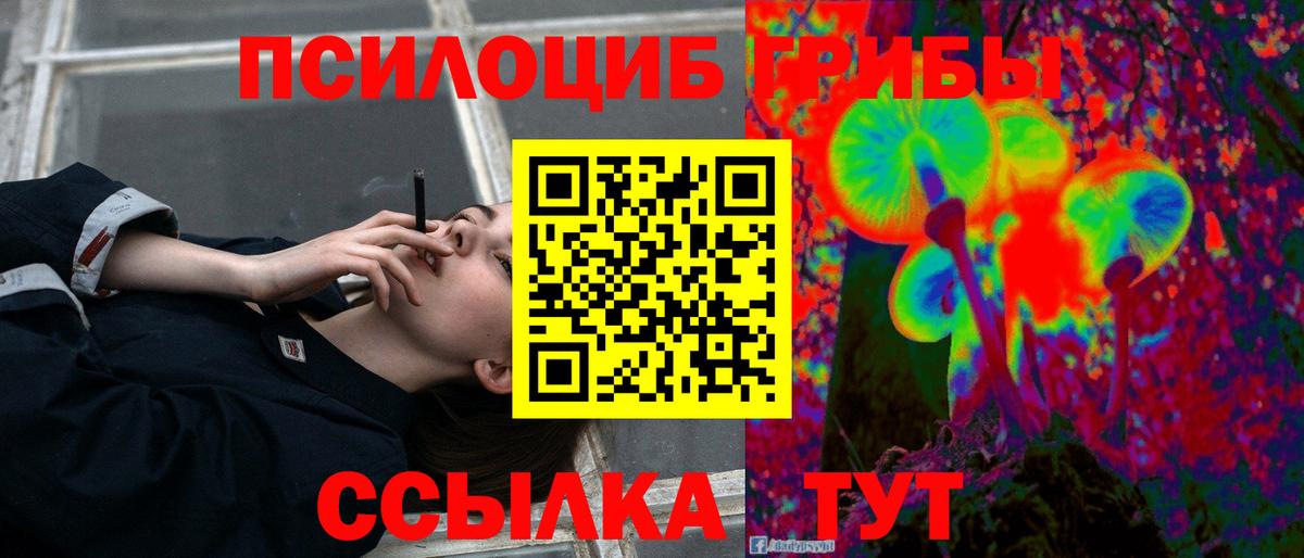 Нефтекамск  Псилоцибиновые грибы Psilocybine cubensis  Вход с VPN 